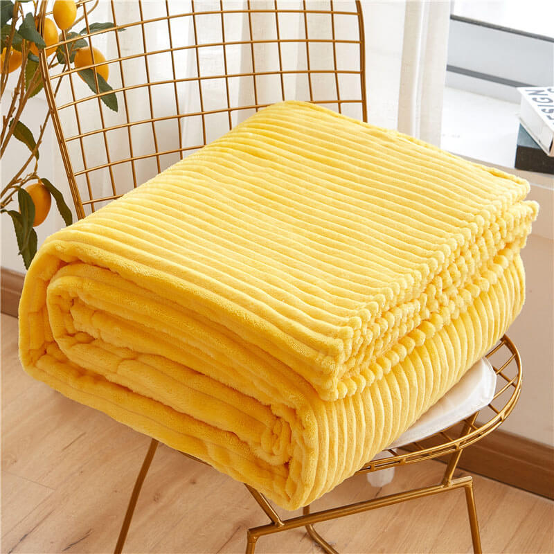 Plaid Canapé en Velours de Lait Double Face Housse de Matelas