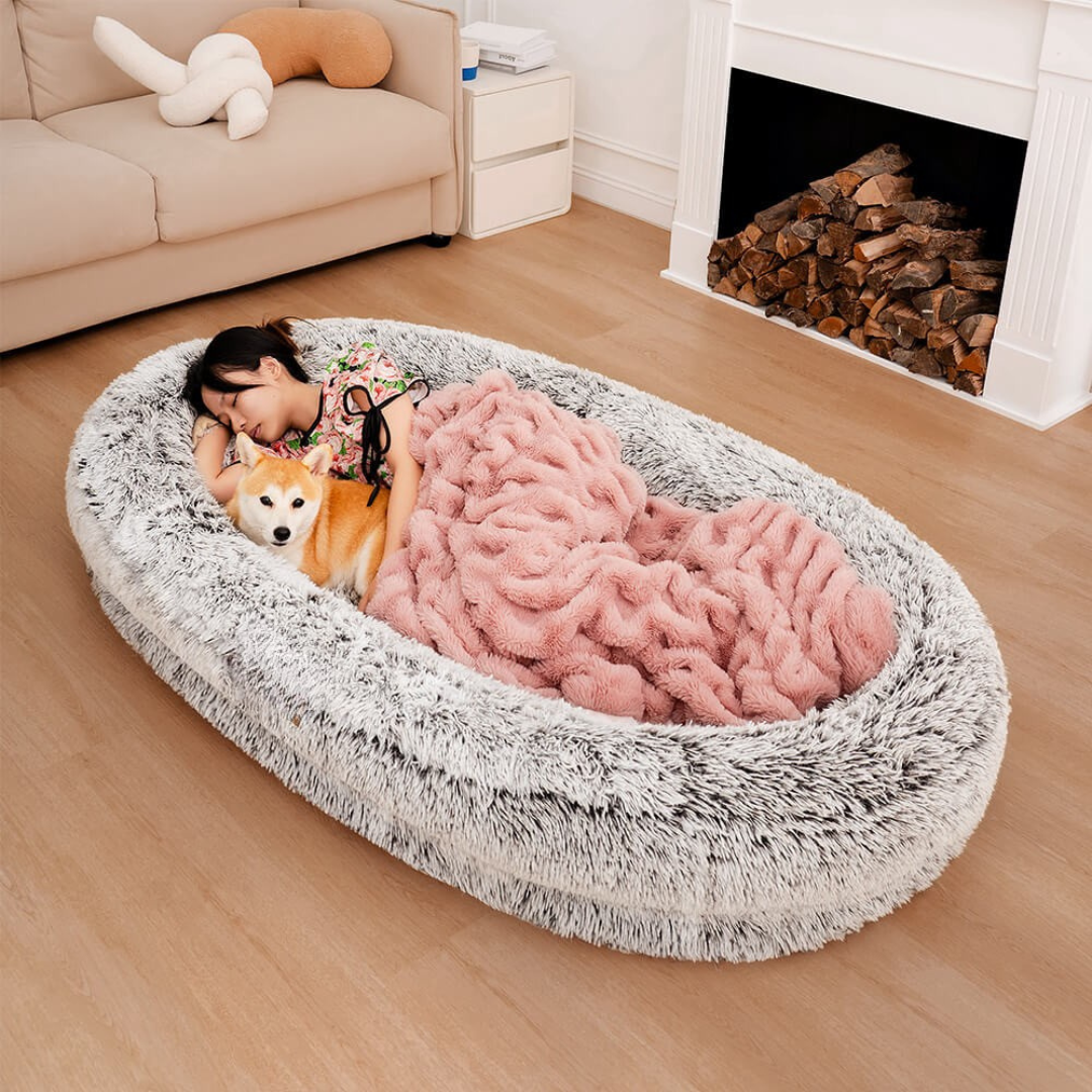Lit pour chien - Beignet