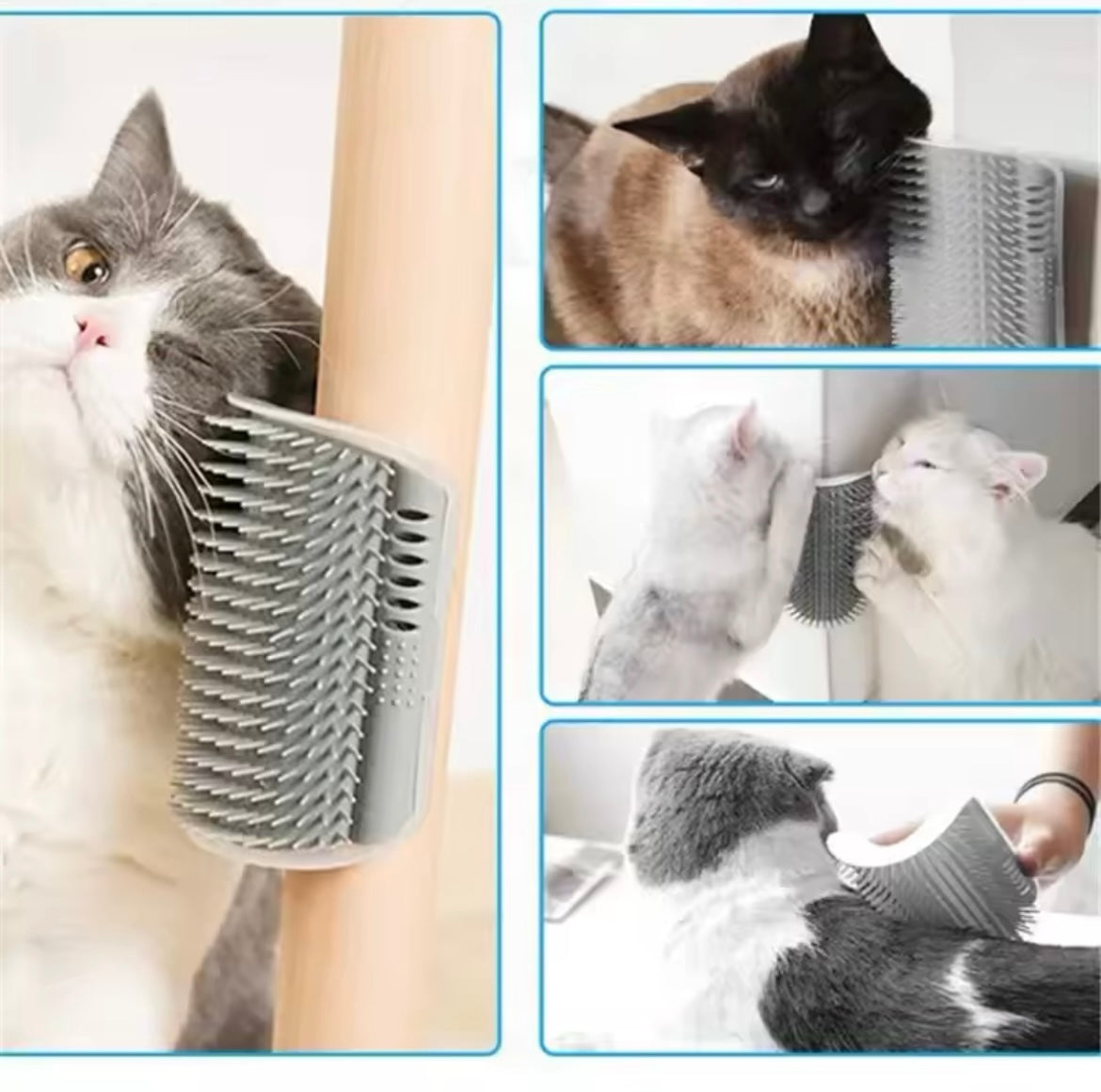 Cat Brush canovax