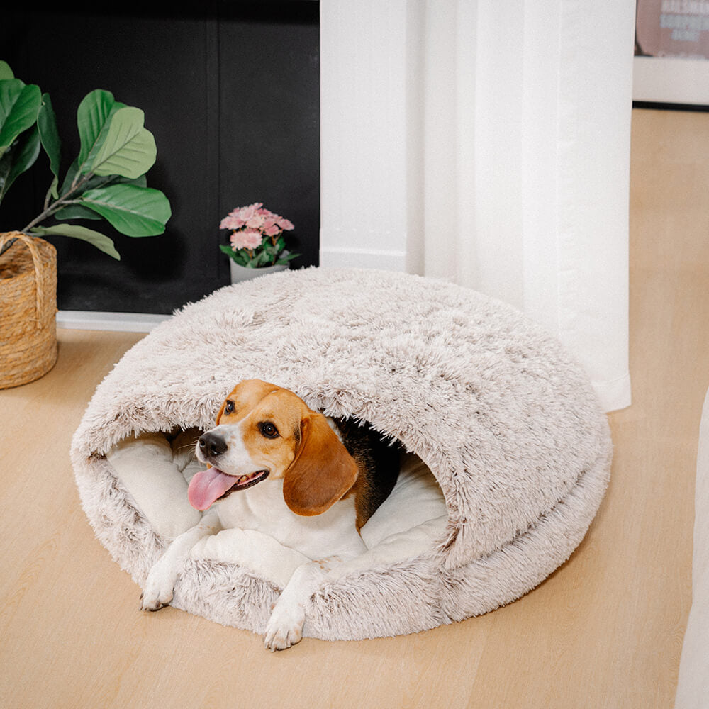 Lit douillet calmant semi-fermé pour animaux de compagnie