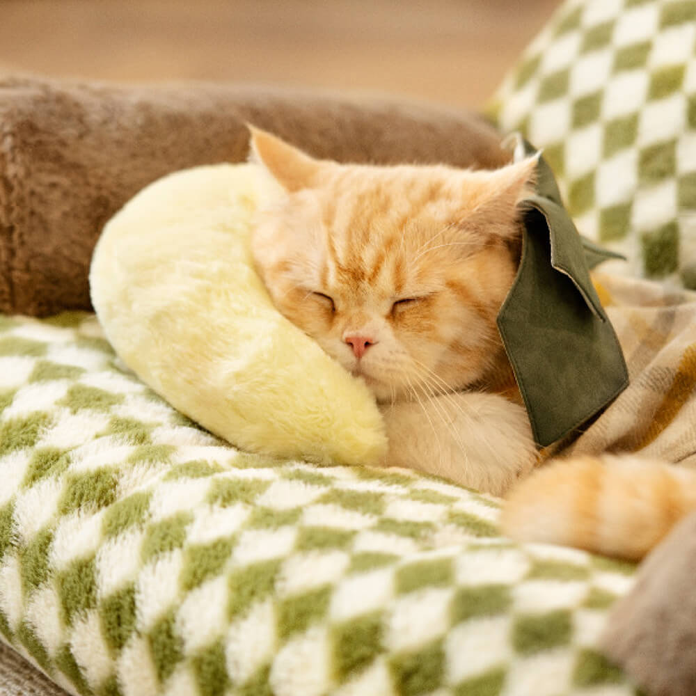 Coussin mignon et douillet pour animaux de compagnie