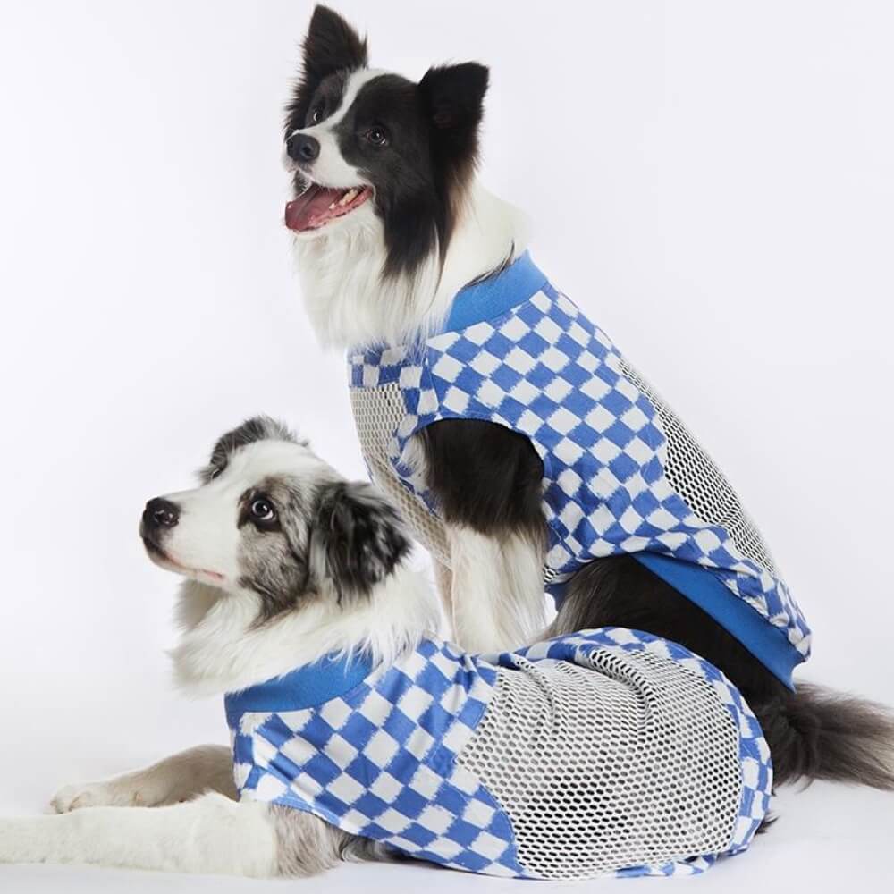 Gilet Fashion Sans Manches Respirant et Frais pour Grand Chien
