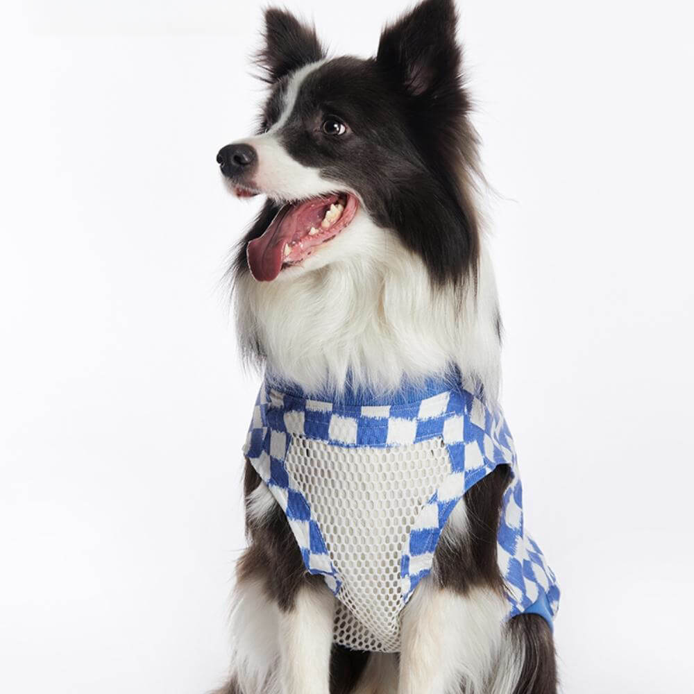 Gilet Fashion Sans Manches Respirant et Frais pour Grand Chien