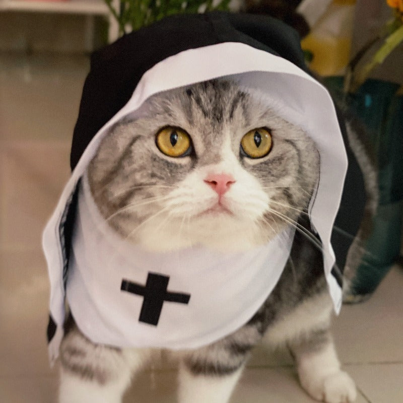Halloween Costume Voile de Nonne Chien Amusant