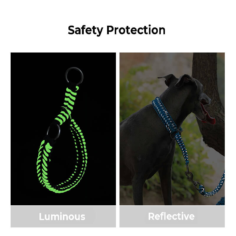 Collier et Laisse Lumineux Grand Chien Faits Main Anti-Traction