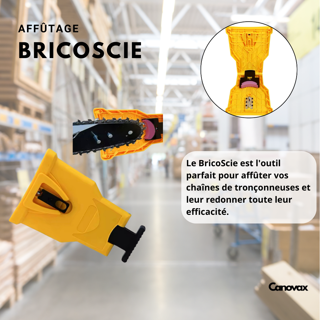 BricoScie
