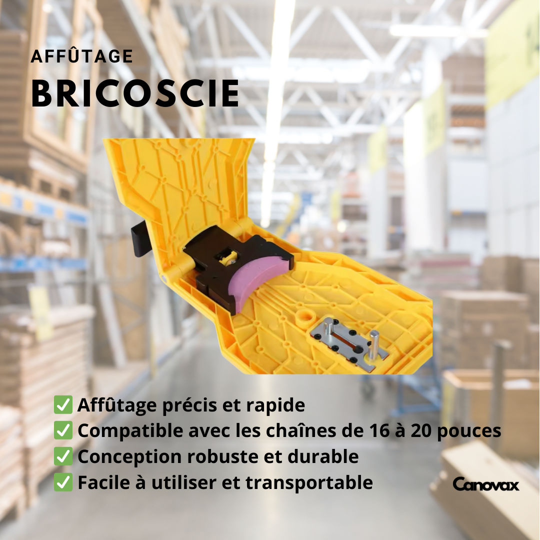 BricoScie