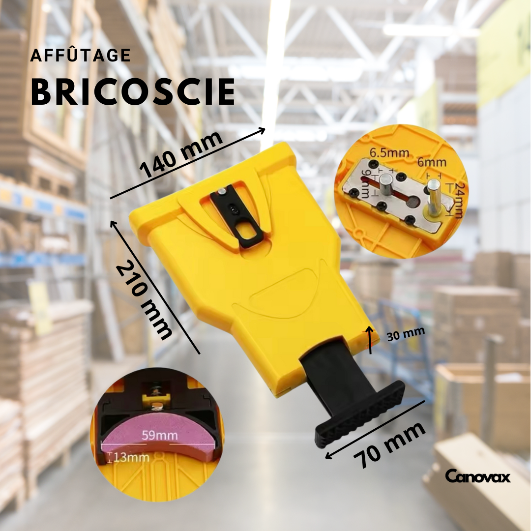 BricoScie