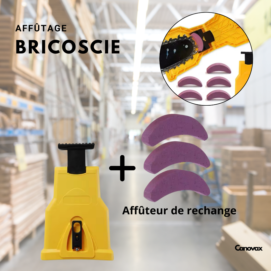 BricoScie