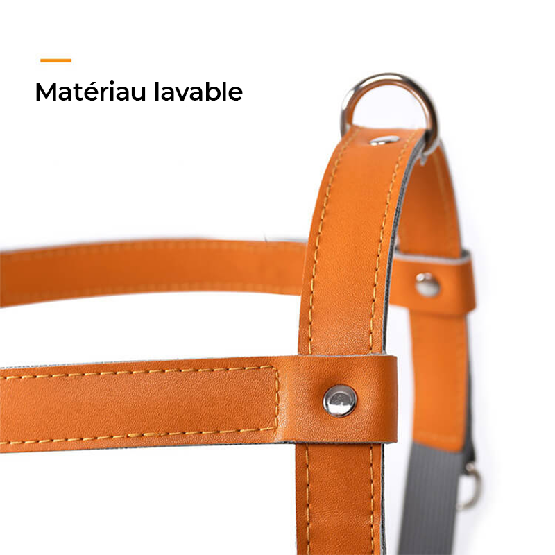Harnais pour chien en cuir PU réglable et respirant
