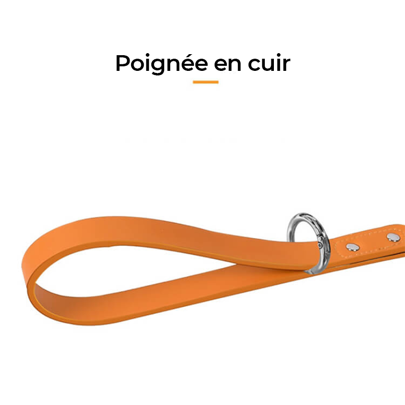 Harnais pour chien en cuir PU réglable et respirant