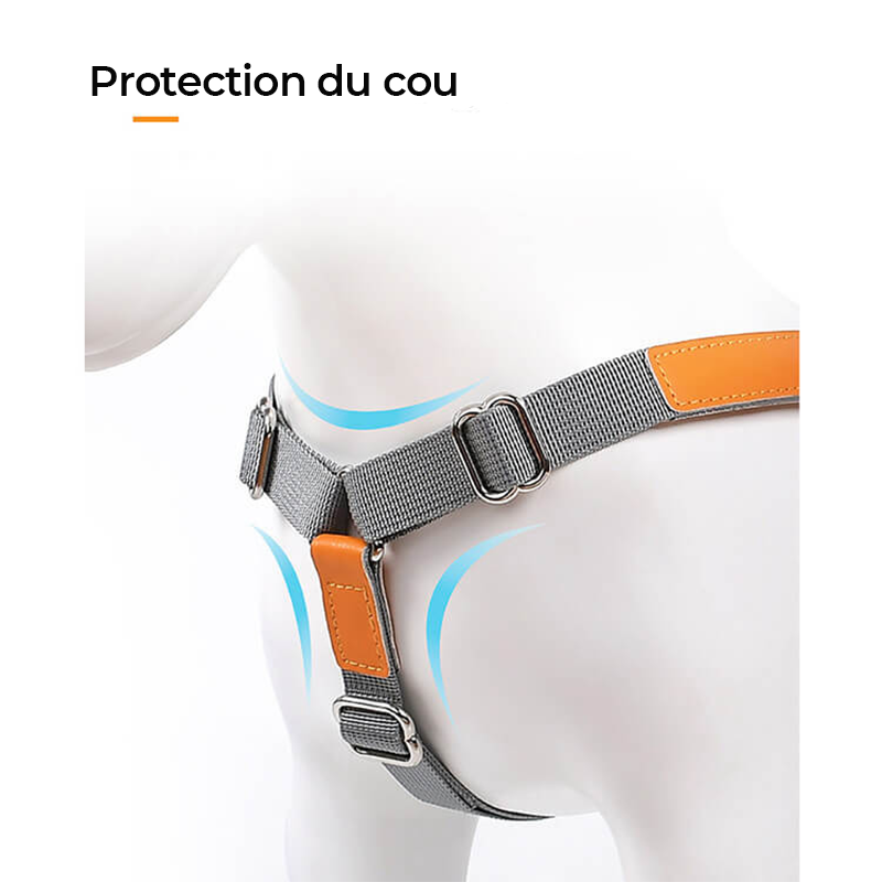 Harnais pour chien en cuir PU réglable et respirant