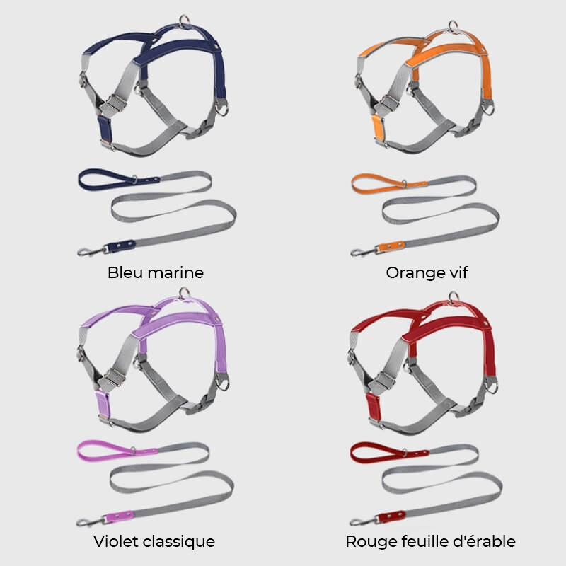 Harnais pour chien en cuir PU réglable et respirant