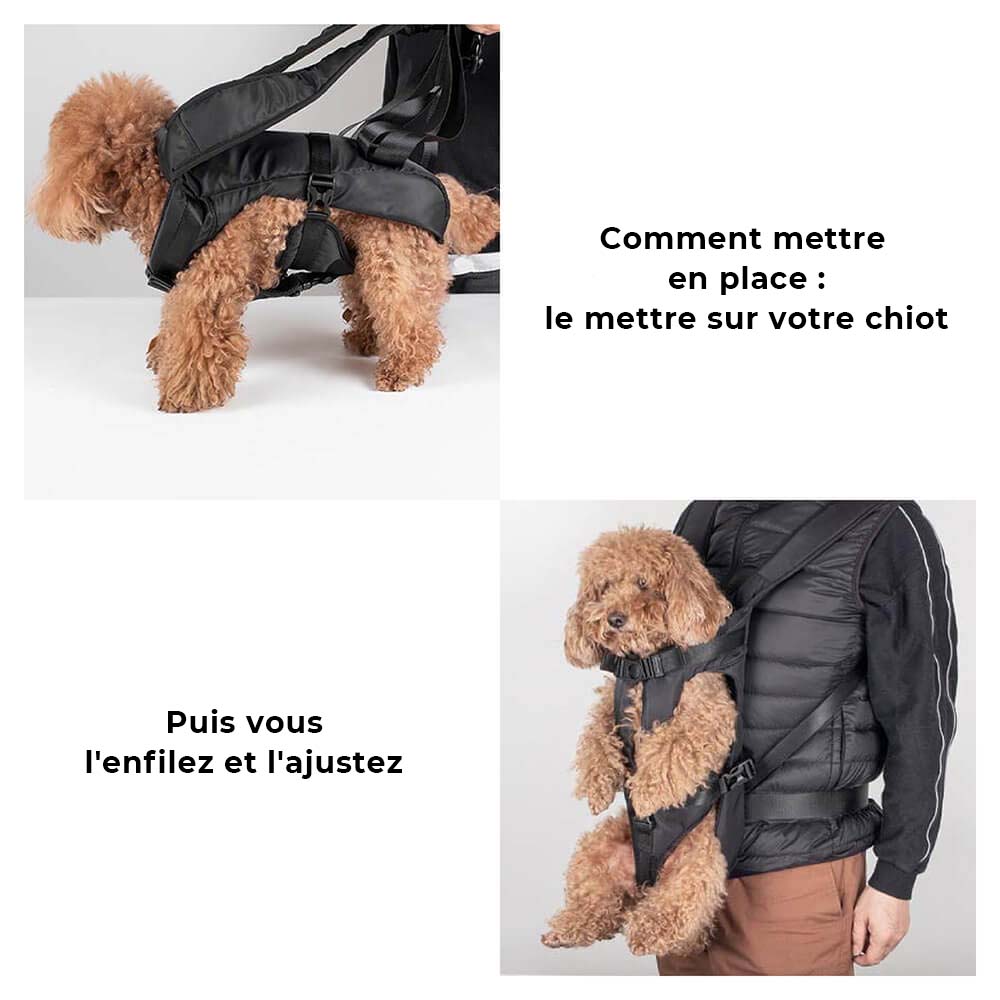 Sac à dos de transport pour chien Cockpit Vert S