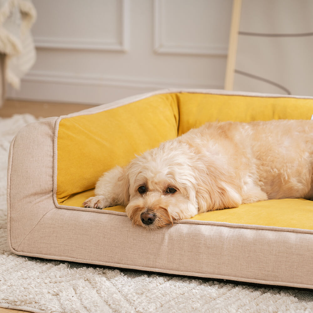 Canapé-lit orthopédique confortable pour chien à soutien complet