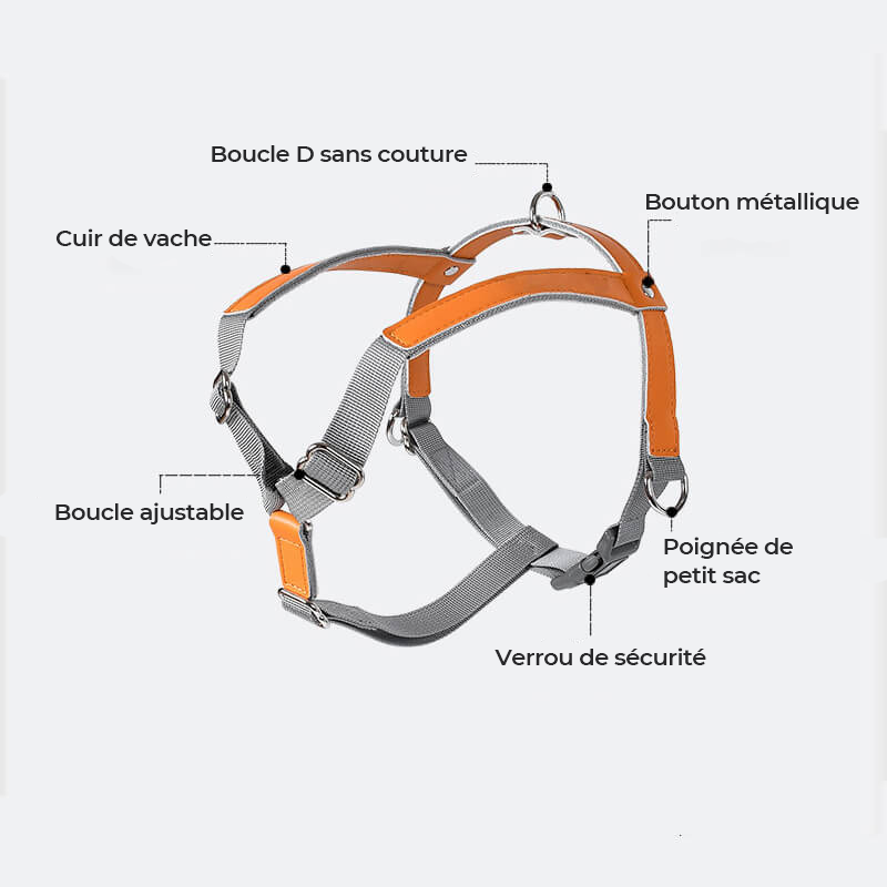 Harnais pour chien en cuir PU réglable et respirant