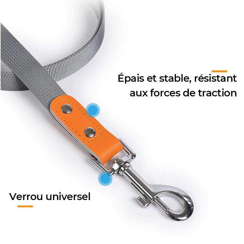 Harnais pour chien en cuir PU réglable et respirant