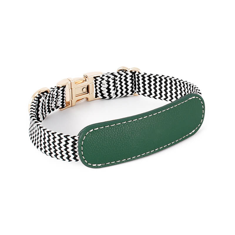 Collier pour Chien avec Imprimé Zèbre et Protège-Cou Set de Promenade