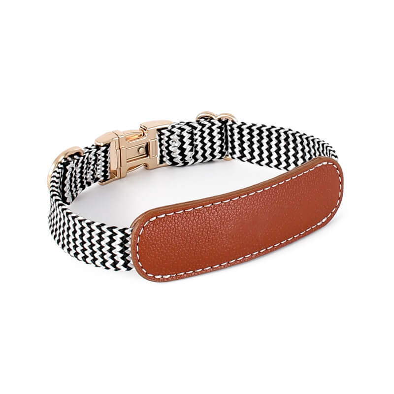 Collier pour Chien avec Imprimé Zèbre et Protège-Cou Set de Promenade