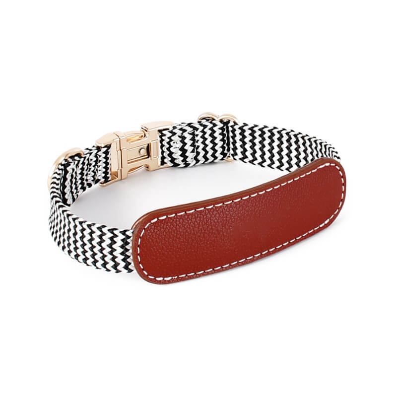 Collier pour Chien avec Imprimé Zèbre et Protège-Cou Set de Promenade