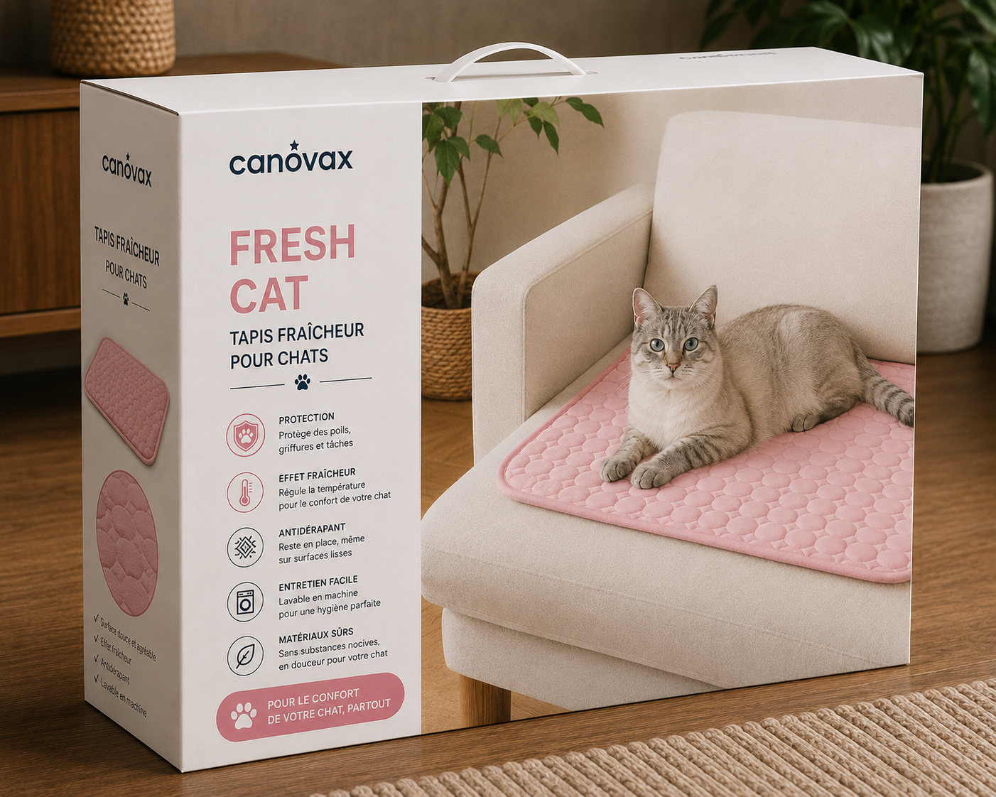 Fresh Cat