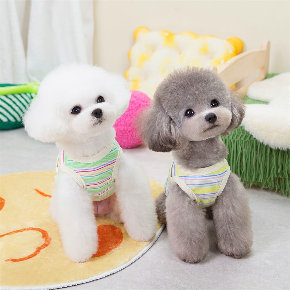 Gilet rayé à poches et smiley pour chien et chat