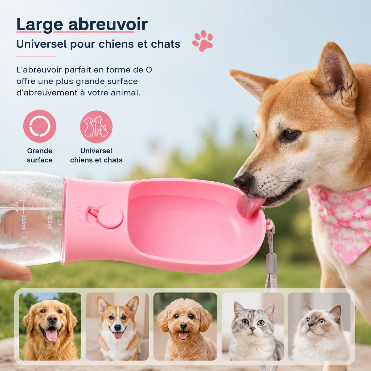 Rover – Gourde Portable 3-en-1 pour Chien