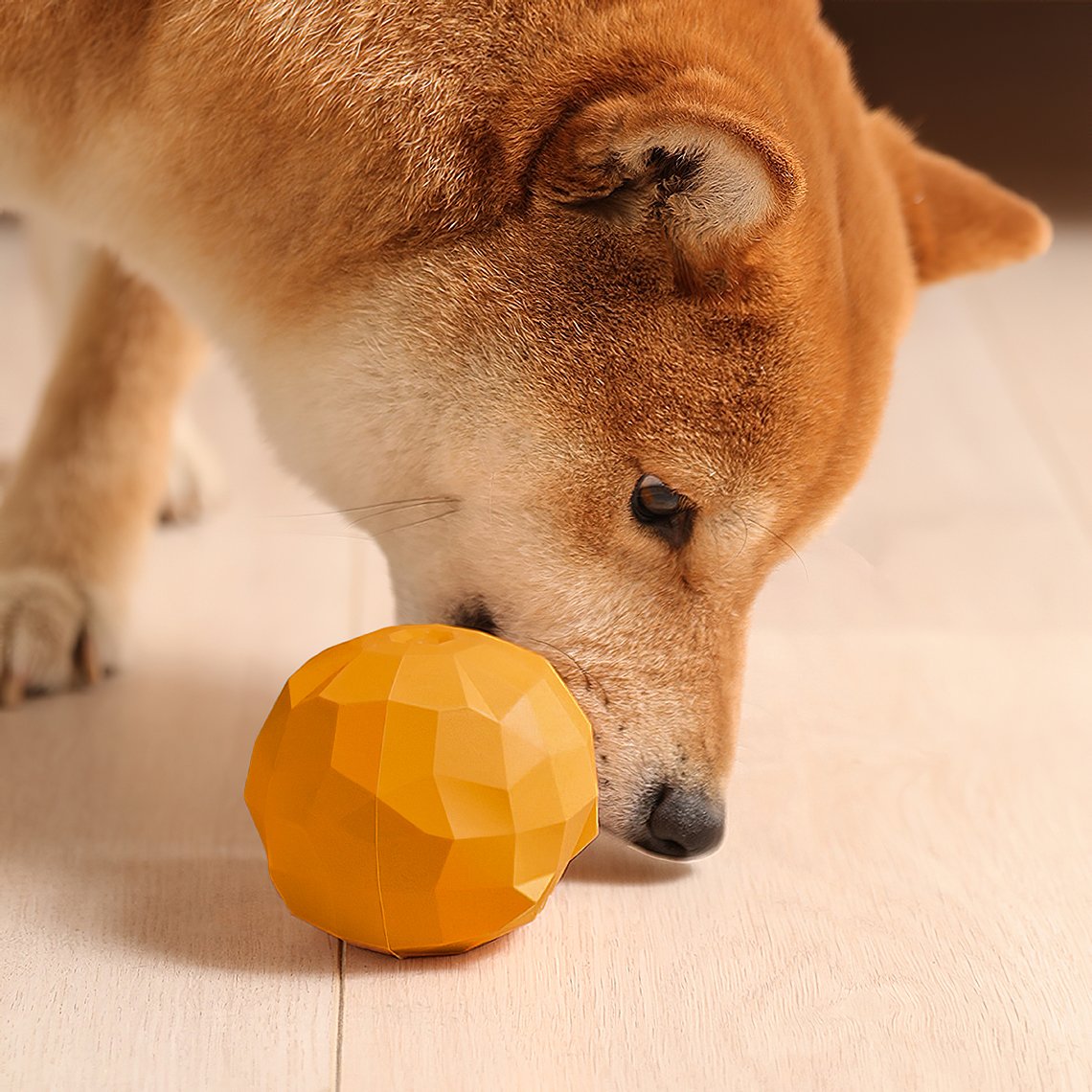 Jouet en forme de fruit à friandises cachées pour chien