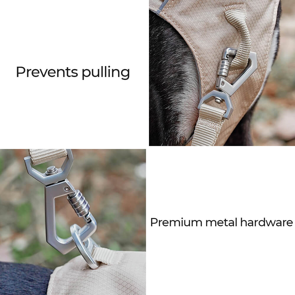 Harnais léger imperméable respirant anti-traction pour chien et laisse multifonctionnelle