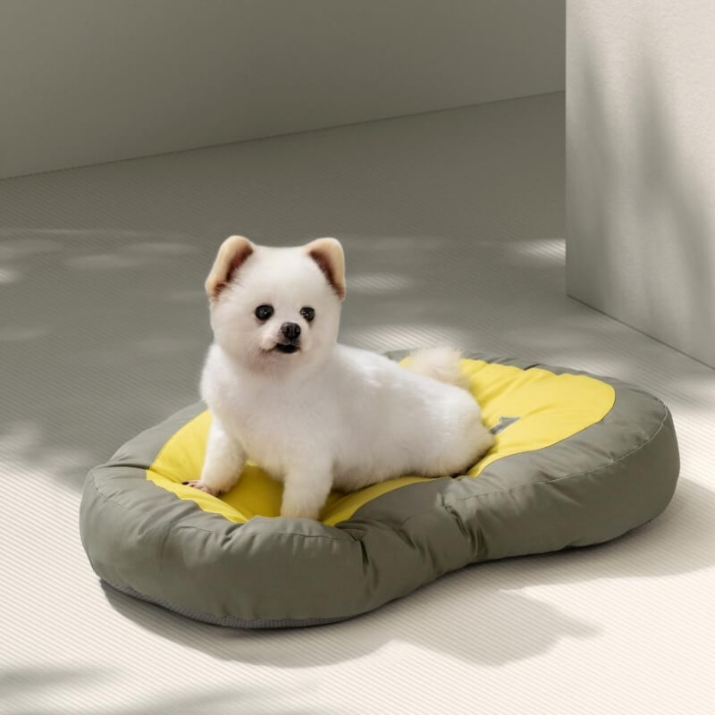 Tapis pour Animaux Extra Épais Lit Chien & Chat