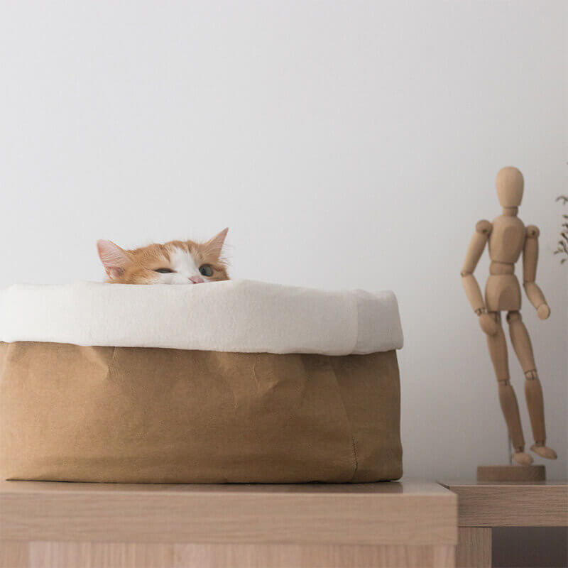 Lit Panier pour Chat en Papier Kraft Lavable