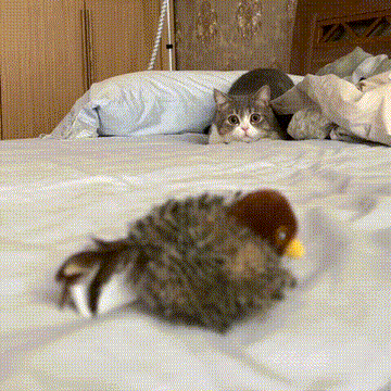 Oiseau interactif