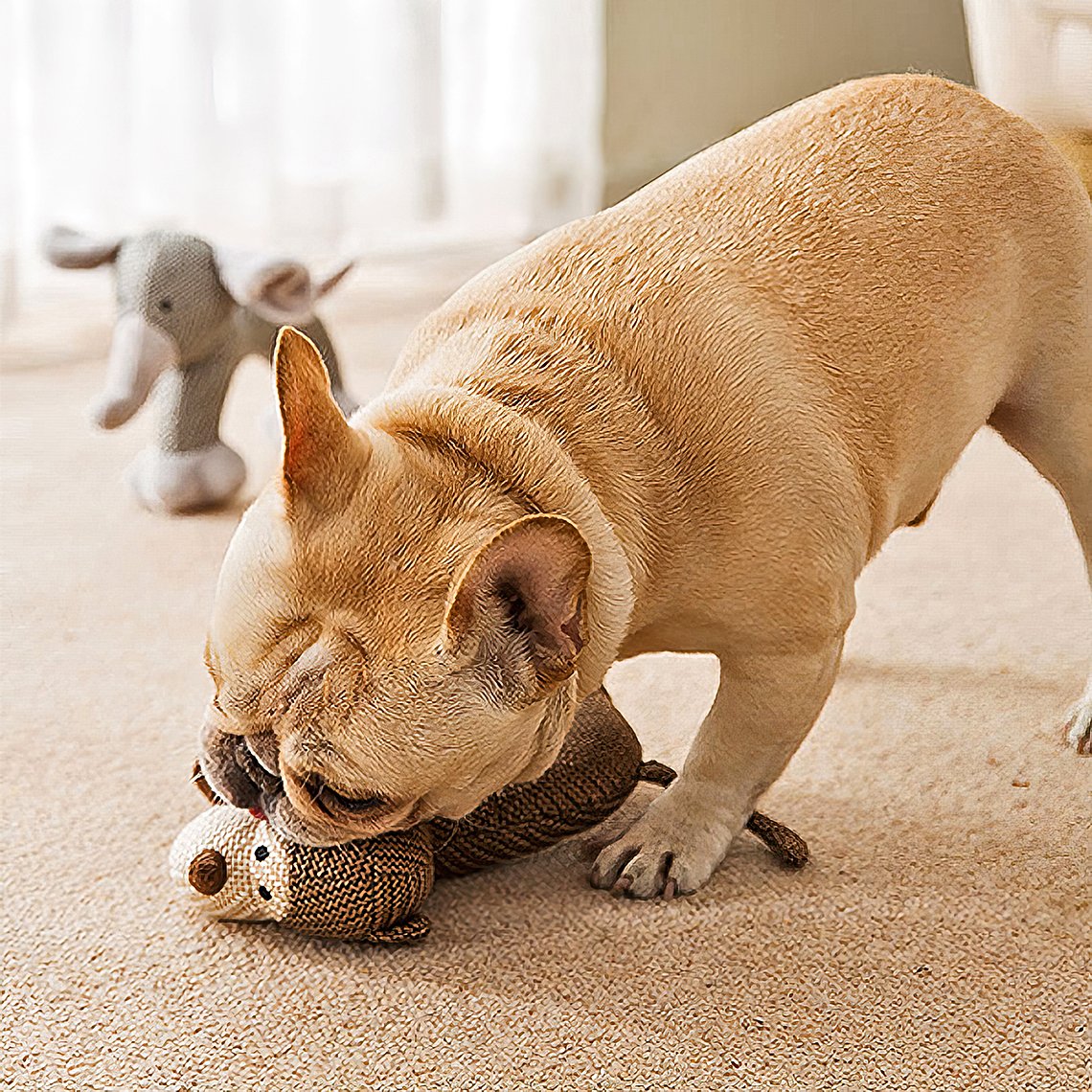 Jouets à mâcher animaux grinçants pour chien
